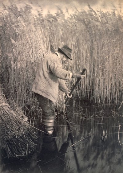 Un cortador de cañas en el trabajo, Vida y paisaje en los Norfolk Broads, c.1886 de Peter Emerson und Thomas Goodall